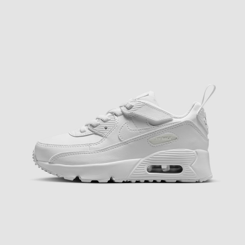 Nike Air Max 90 EasyOn 4C